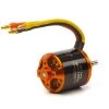 Spektrum Avian EF1 Race 3545-1250kV Outrunner BL Motor for Motors